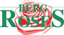 Berg Roses